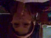 Горячие азиатки наслаждаются членами в порно видео