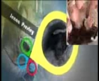 домашнее порно между