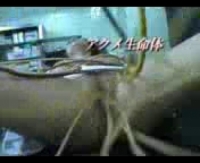 домашний секс взрослых