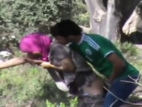 Горячее порно видео с грузинской мулаткой