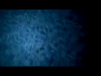 Истинная страсть кавказское домашнее порно вк