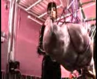 Порно инцест внутрь запретный удовольствия