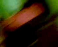 Наслаждайся гойданием точики с нашим видео